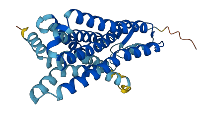OR52B4 3D structure