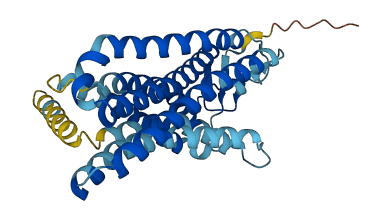 OR52I1 3D structure