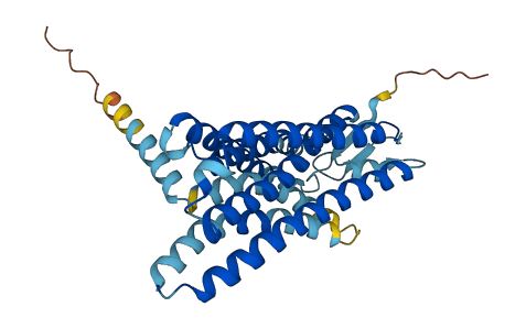 OR5D16 3D structure