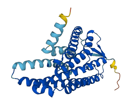 OR5D18 3D structure
