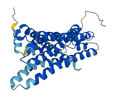 OR5D14 3D structure