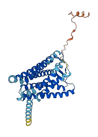 OR4A15 3D structure