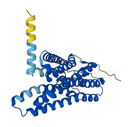 OR4P4 3D structure