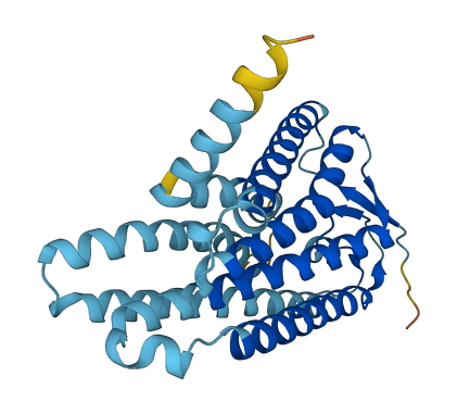 OR4C16 3D structure