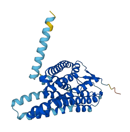 OR4C15 3D structure