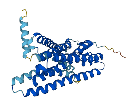 OR8D4 3D structure