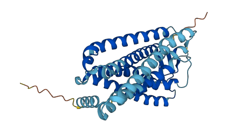OR4D5 3D structure