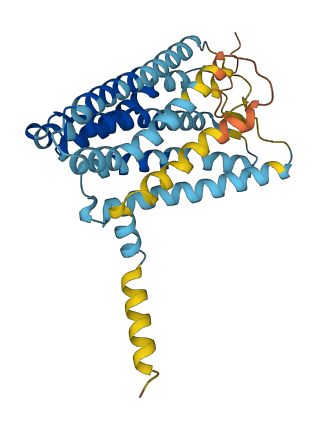 OR6T1 3D structure