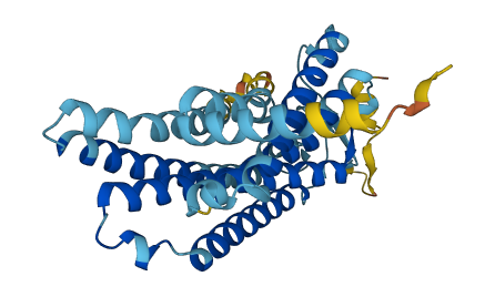 OR10S1 3D structure