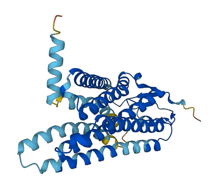 OR10G4 3D structure