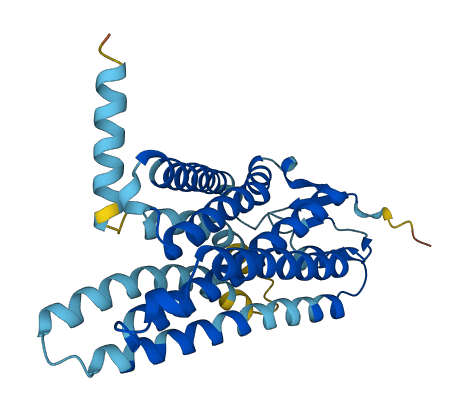 OR10G9 3D structure