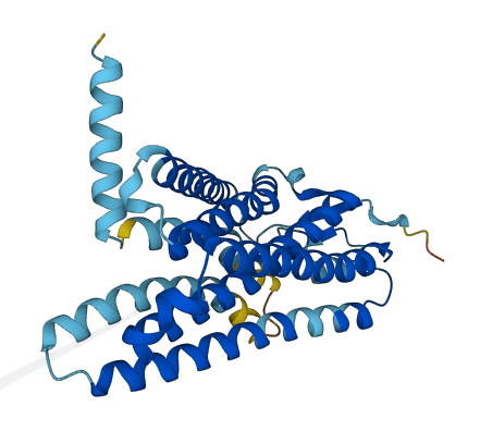 OR10G8 3D structure