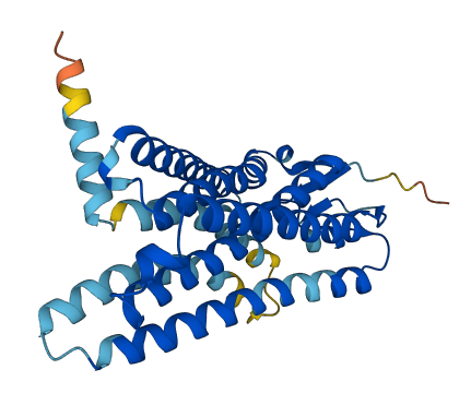 OR10G7 3D structure