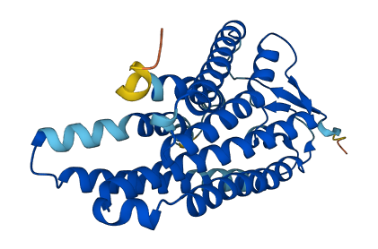 OR10D4P 3D structure