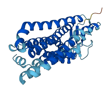 OR4A4P 3D structure