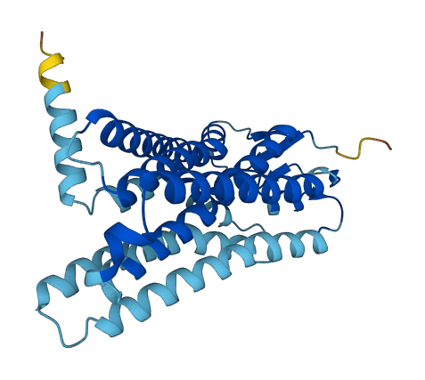 OR4C13 3D structure