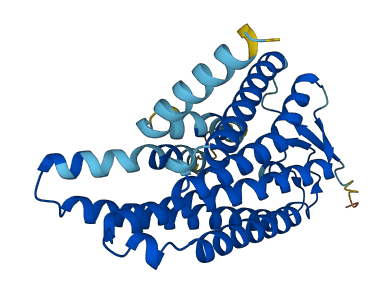 OR8J1 3D structure