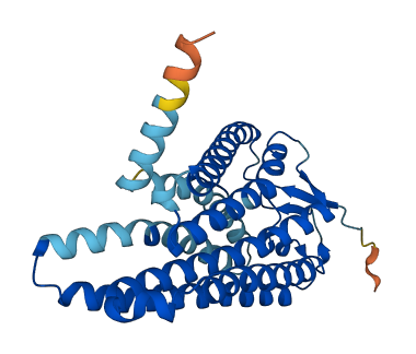 OR5M1 3D structure