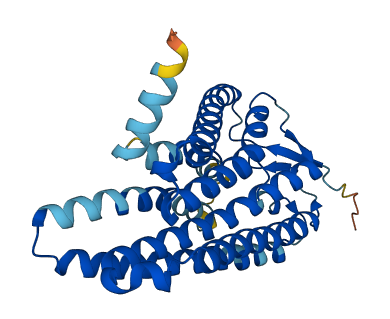 OR5AR1 3D structure