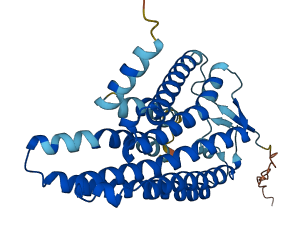 OR9G4 3D structure