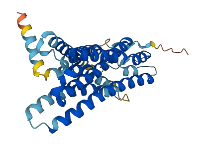 OR6Q1 3D structure