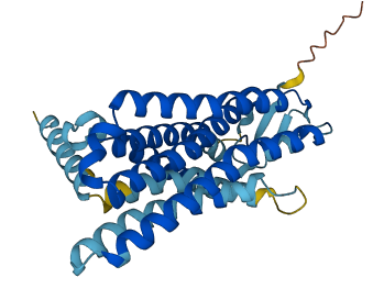 OR10Q1 3D structure