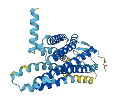 OR9Q1 3D structure