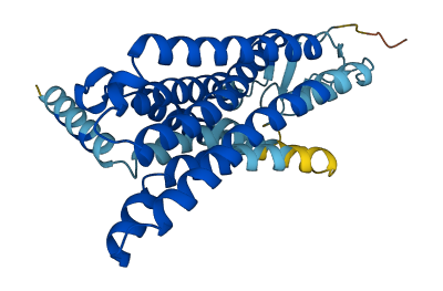 OR9I1 3D structure