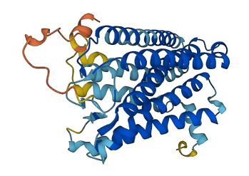 OR13A1 3D structure