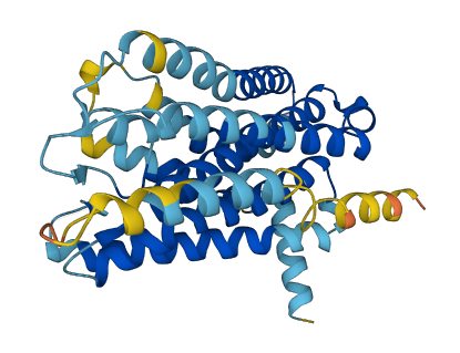 OR1L6 3D structure