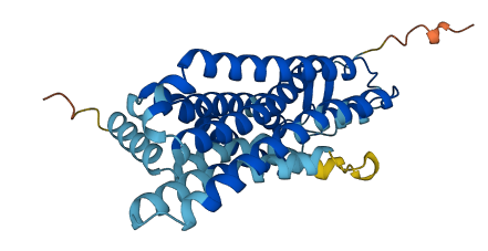 OR5C1 3D structure