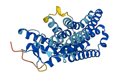 OR1L4 3D structure