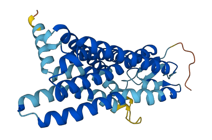 OR1B1 3D structure