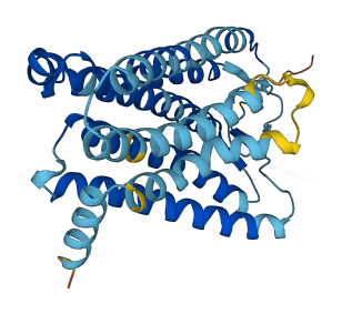 OR1L8 3D structure