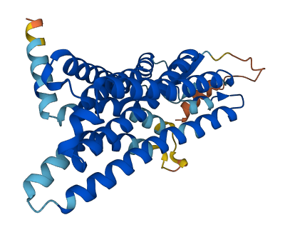 OR1N2 3D structure