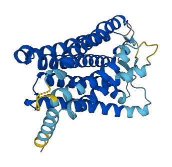 OR1N1 3D structure