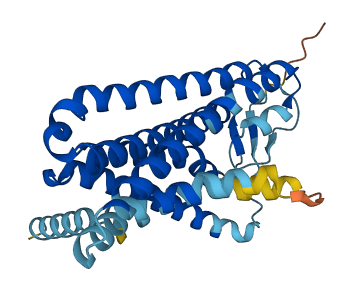 OR1J4 3D structure