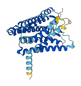 OR1J2 3D structure