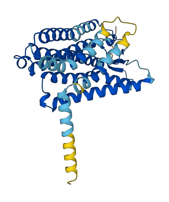 OR1J1 3D structure