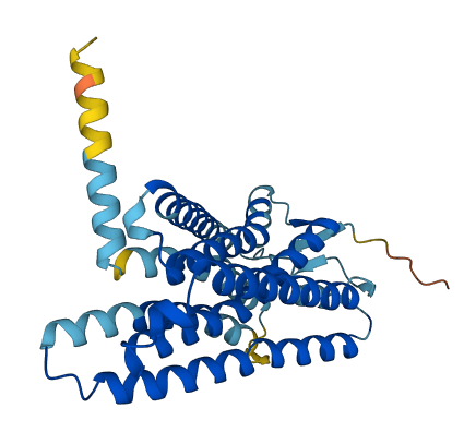 OR13F1 3D structure