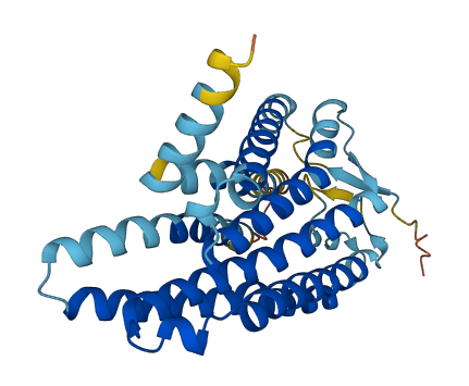 OR13C4 3D structure