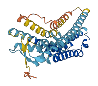 OR13C5 3D structure