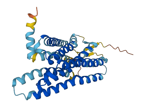 OR13C9 3D structure