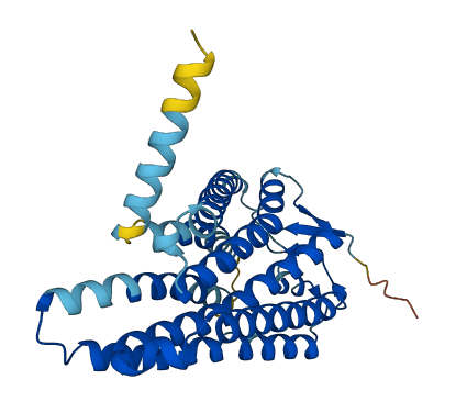 OR2K2 3D structure