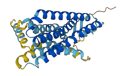 OR13J1 3D structure