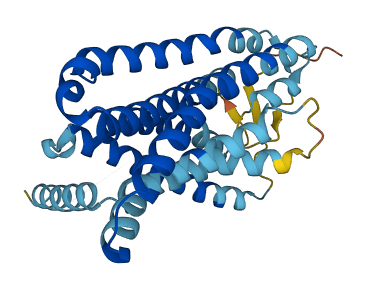 OR9A2 3D structure