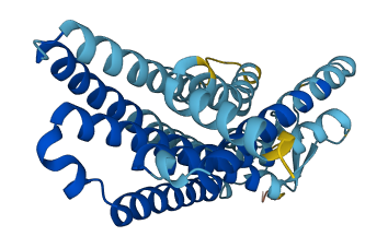 OR2A12 3D structure