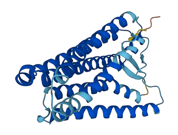 OR9A1P 3D structure