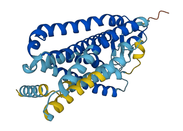 OR9A4 3D structure