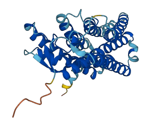OR2I1P 3D structure